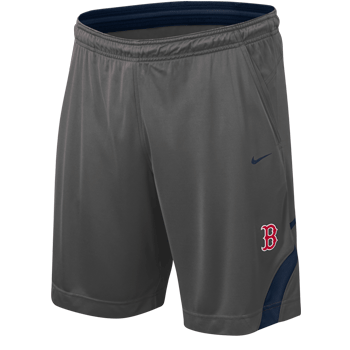 2010 Nike Ash DriFit Shorts SH0126