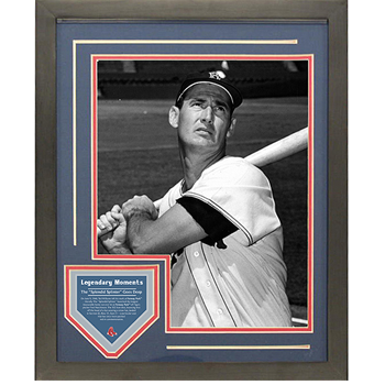 Ted Williams 1941 Batting Pose Legendary Moments 11x14 Framed Collage SSC0156