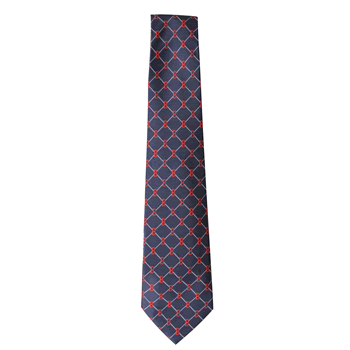 Blue Embroidered Tie N0534