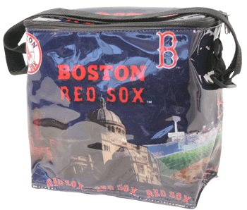 City Skyline Cooler Bag N0676