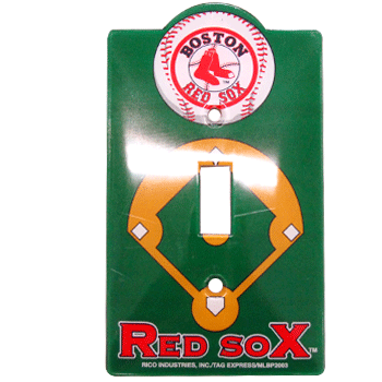 Light Switch Cover N0843