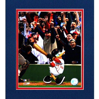 Donald Duck Batting Photo N1176
