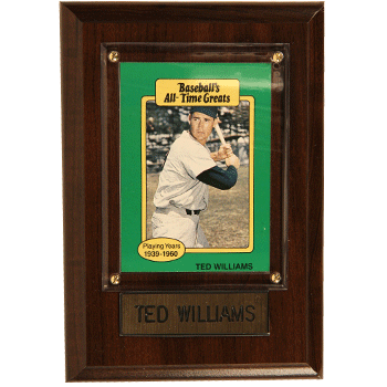 Ted Williams Plaque PLS0038