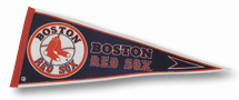 Basic Pennant PEN0031