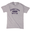 Ash Distressed Fenway  TA0205
