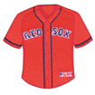 Alternate Jersey Patch N0572