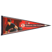 Matsuzaka Pennant N0964