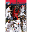 2008 Media Guide N1100