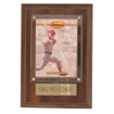 Carl Yastrzemski Plaque PLS0004