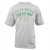 Ash Irish Pride T-Shirt TA0724