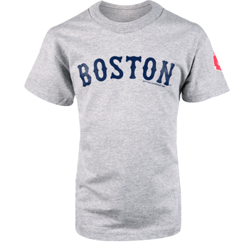 Kids Gray Boston Arch Tee TY0217